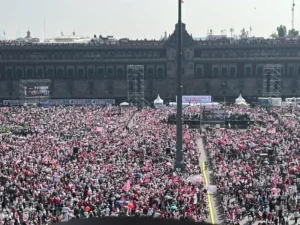 Aerial view of the "march for democracy" in Mexico.